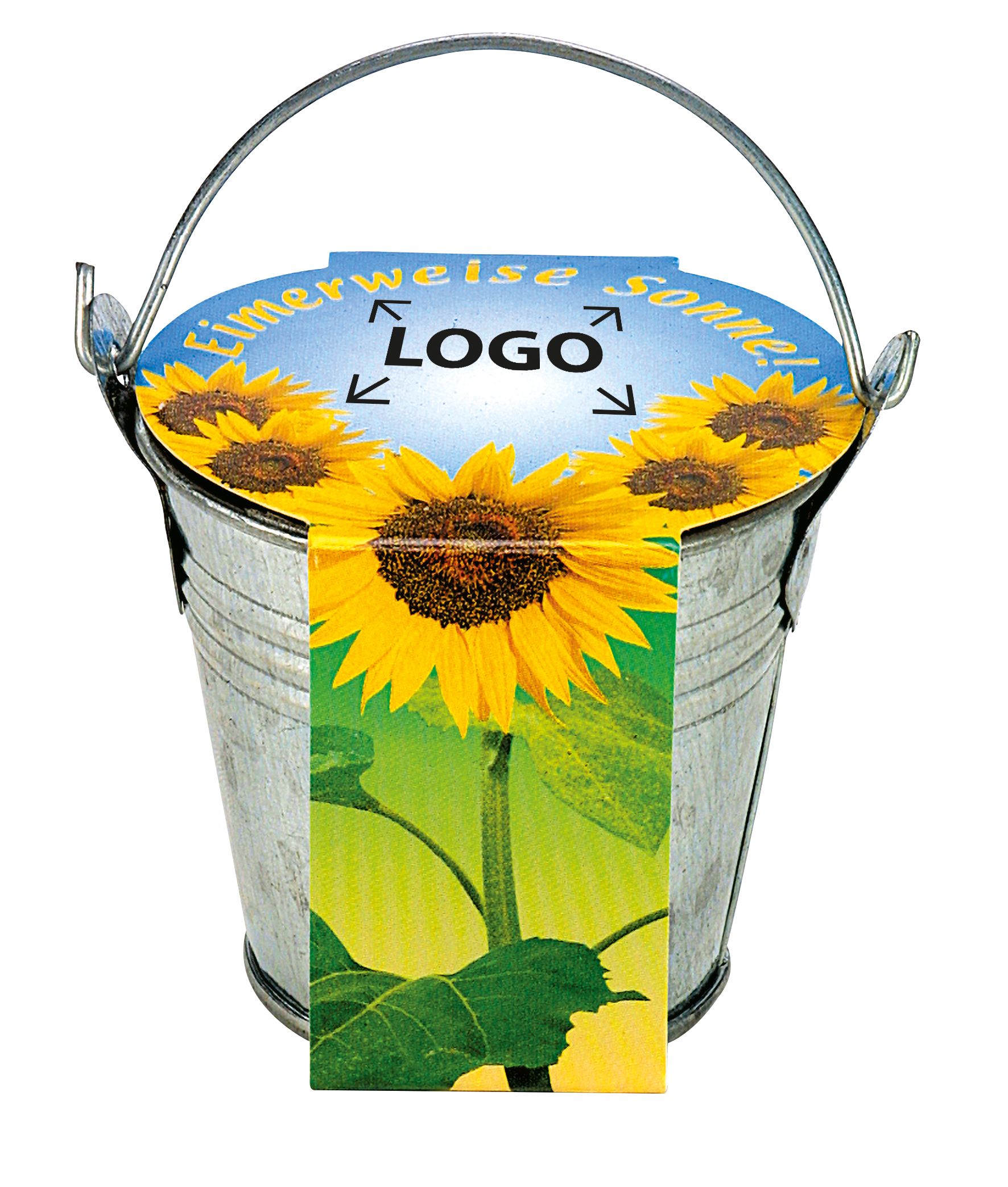 op de banderol (24,0 x 6,0  cm)